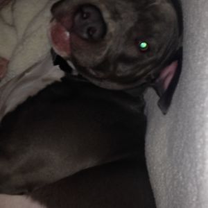 Meet your Posher, Tiffany